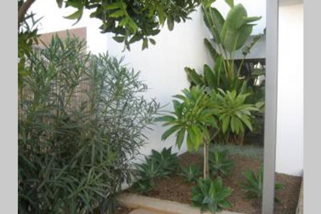 Casa Esparto رودالكيلار المظهر الخارجي الصورة